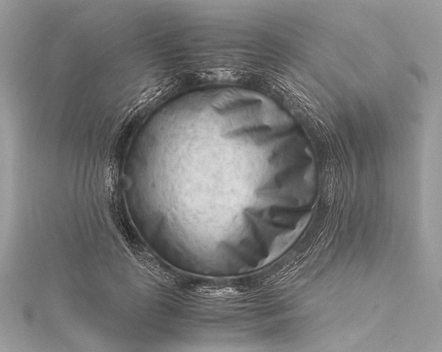 X0000115540747200911201739