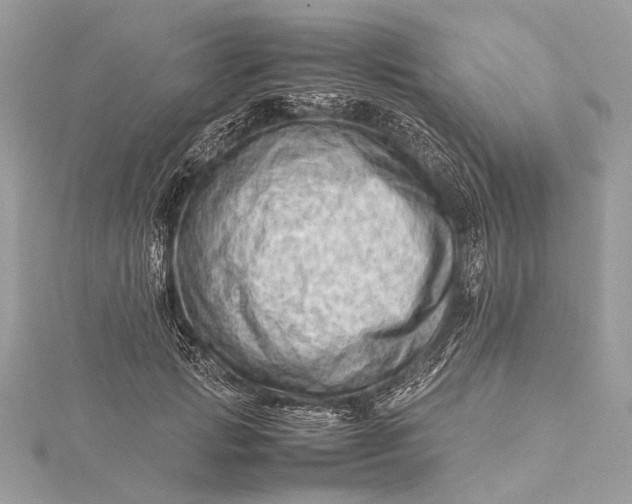 X0000115540749200911201739