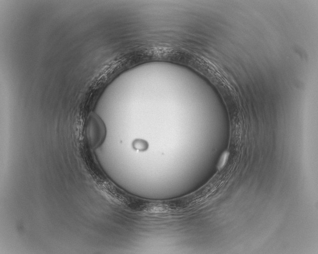 X0000115540750200911201739