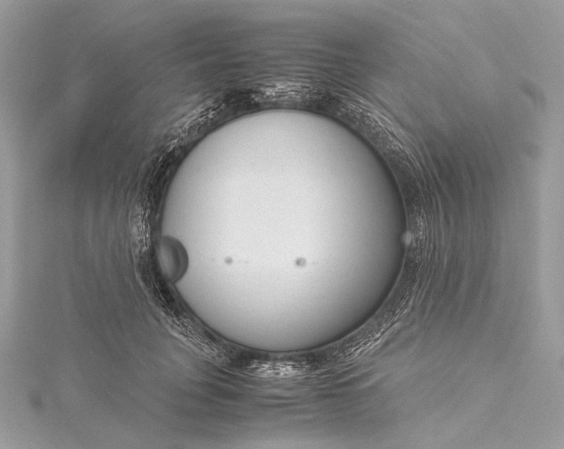 X0000115540751200911201739