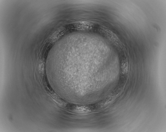 X0000115540753200911201739