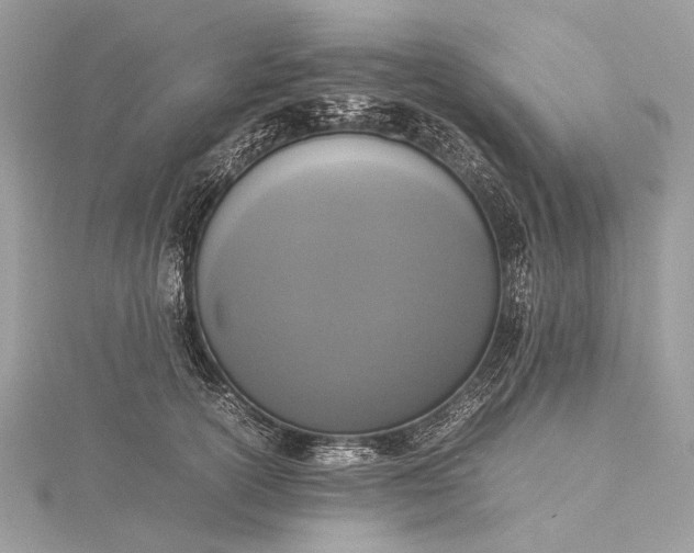 X0000115540754200911201739