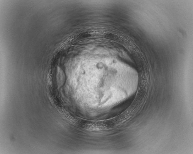 X0000115540755200911201739