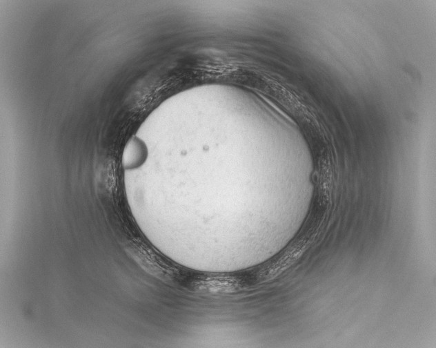 X0000115540758200911201739