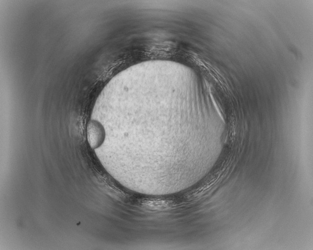 X0000115540759200911201739