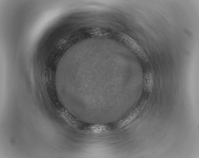 X0000115540762200911201739