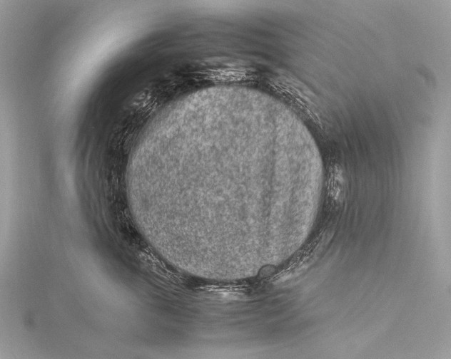 X0000115540763200911201739