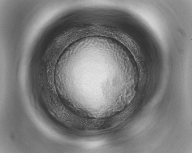 X0000115540765200911201739