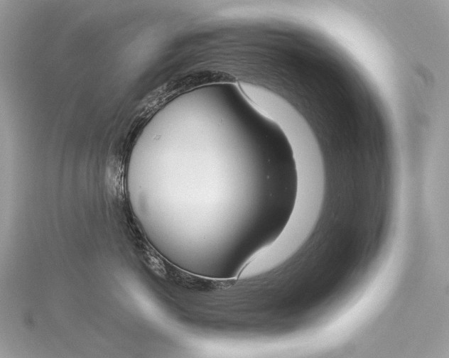 X0000115540766200911201739