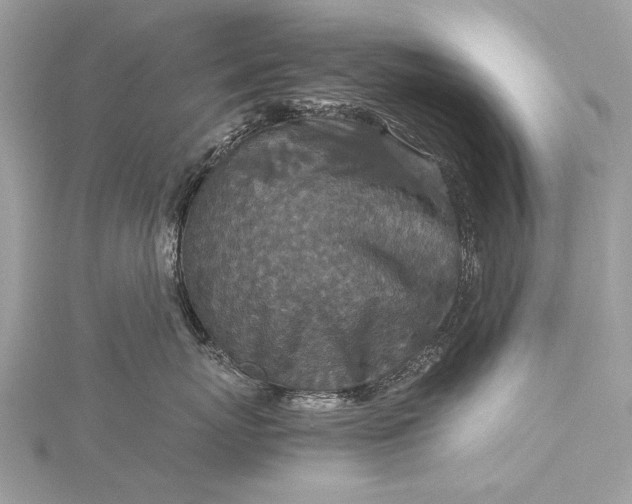 X0000115540767200911201739