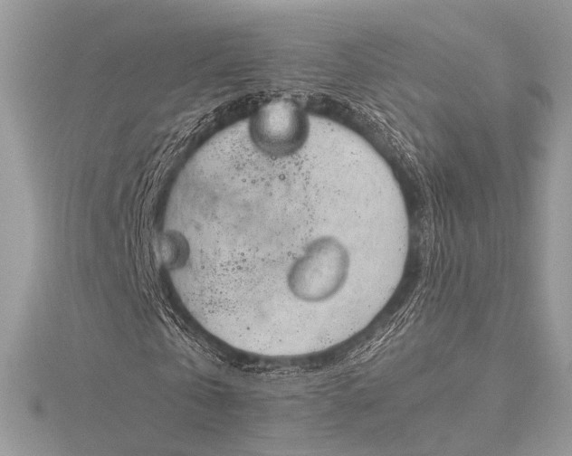 X0000115540769200911201739