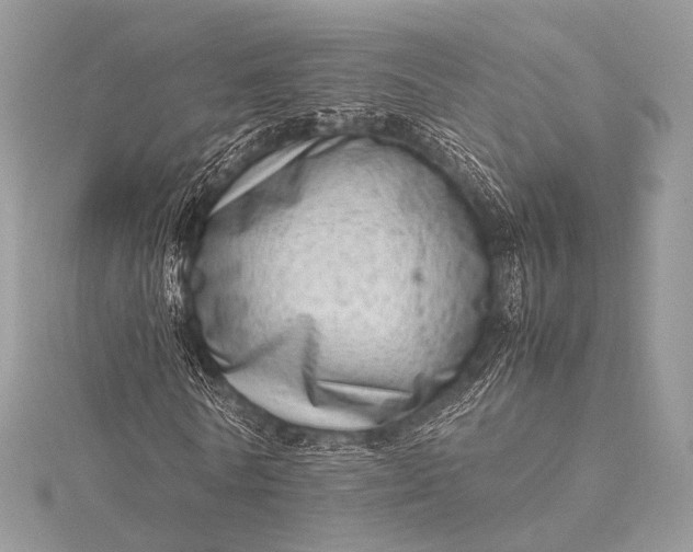 X0000115540770200911201739