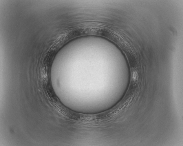 X0000115540771200911201739