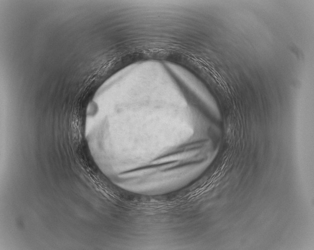 X0000115540772200911201739