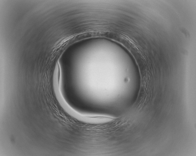 X0000115540773200911201739