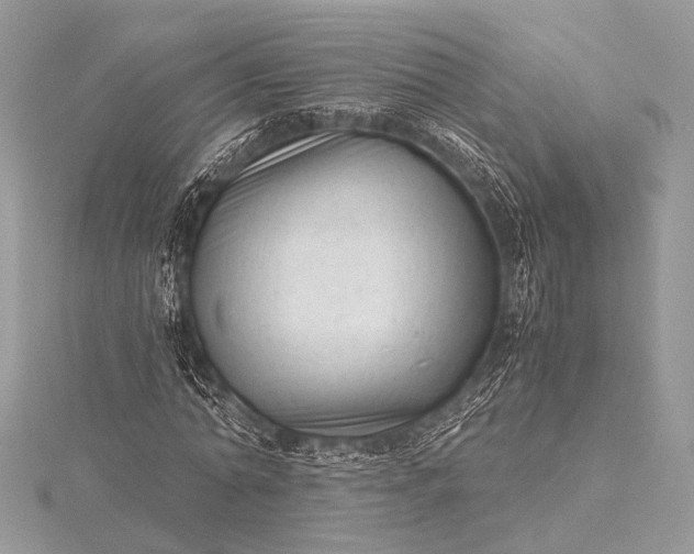 X0000115540774200911201739