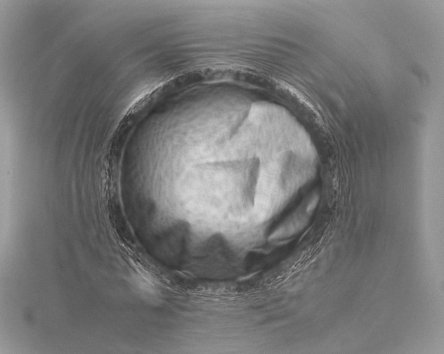 X0000115540775200911201739