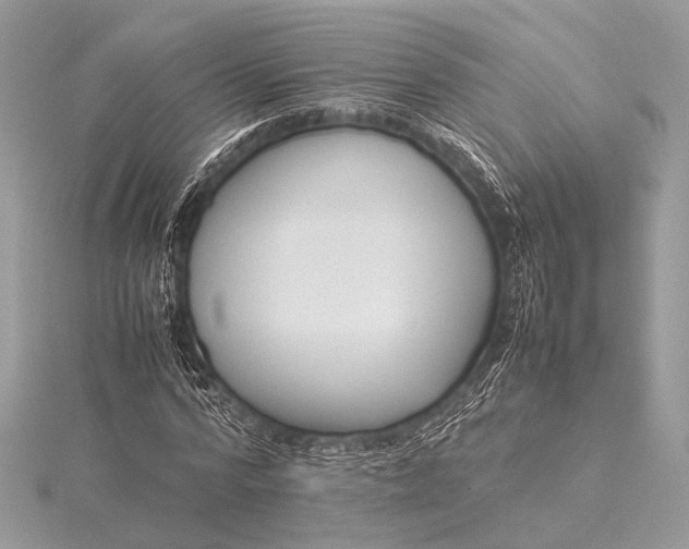 X0000115540776200911201739