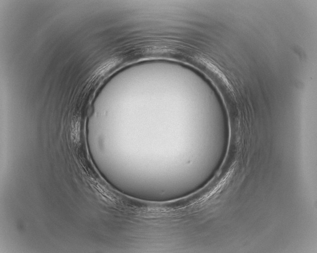 X0000115540777200911201739