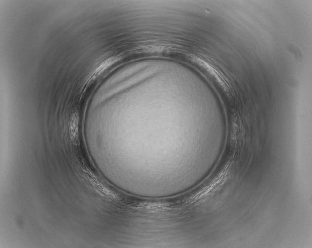 X0000115540778200911201739