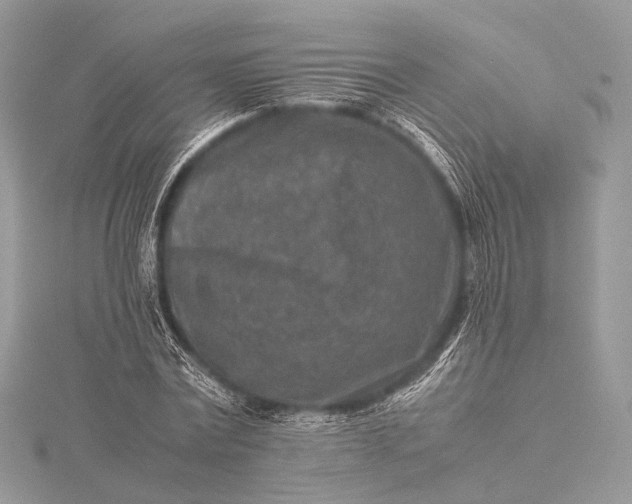 X0000115540779200911201739