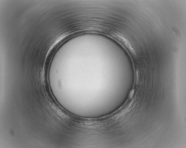 X0000115540780200911201739