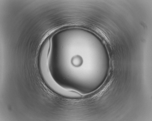 X0000115540781200911201739