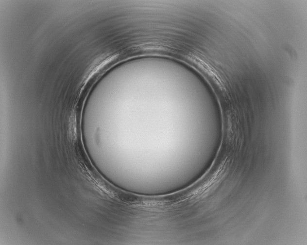 X0000115540782200911201739