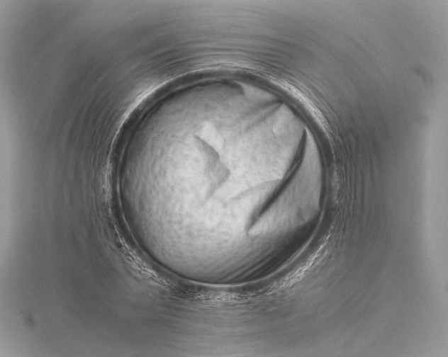 X0000115540783200911201739