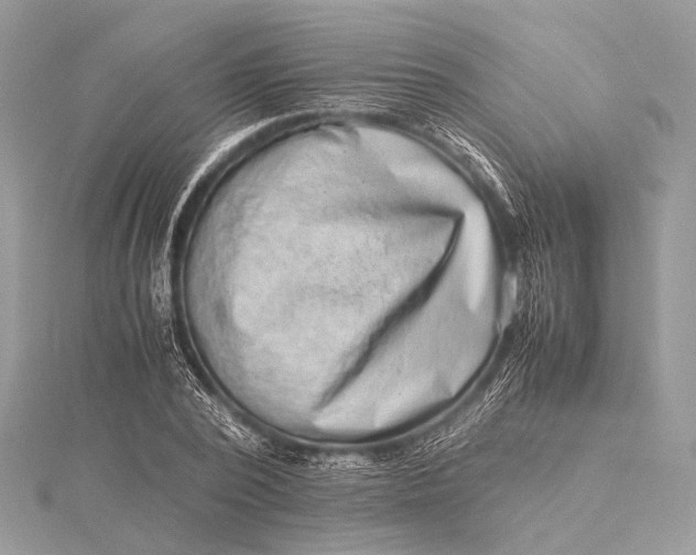 X0000115540784200911201739