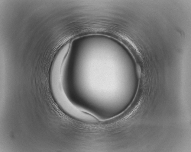 X0000115540785200911201739