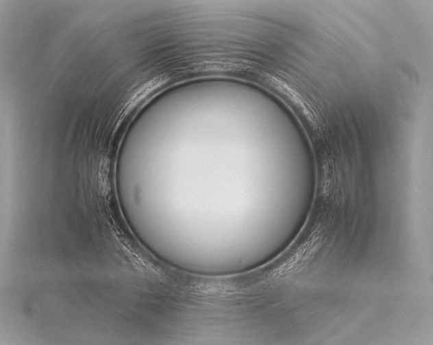 X0000115540786200911201739