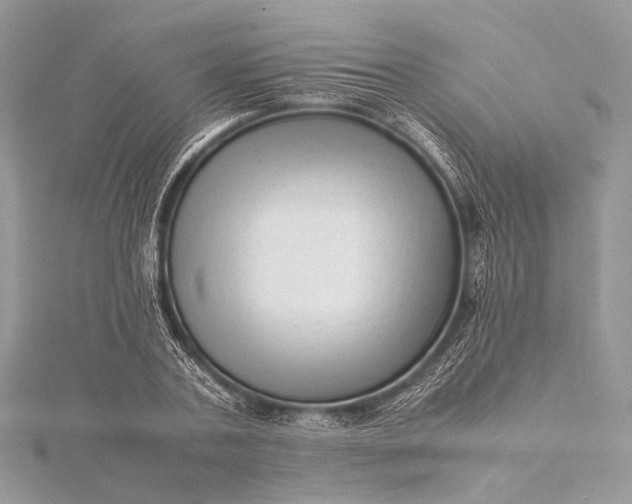 X0000115540787200911201739