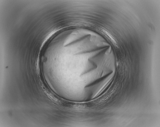 X0000115540788200911201739