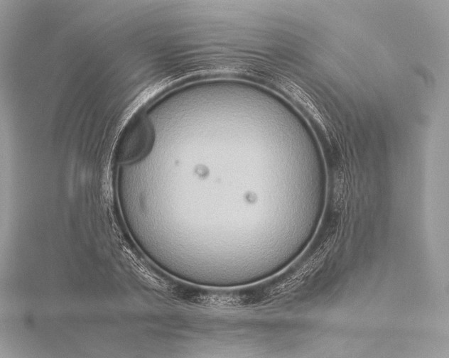 X0000115540789200911201739