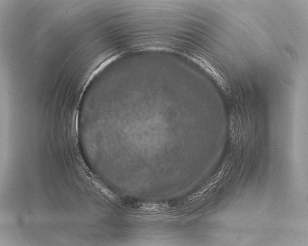 X0000115540790200911201739