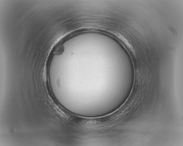 X0000115540791200911201739