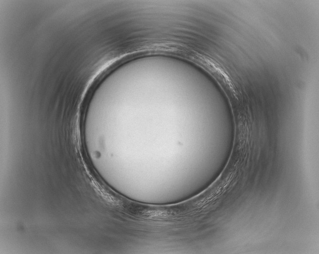 X0000115540792200911201738