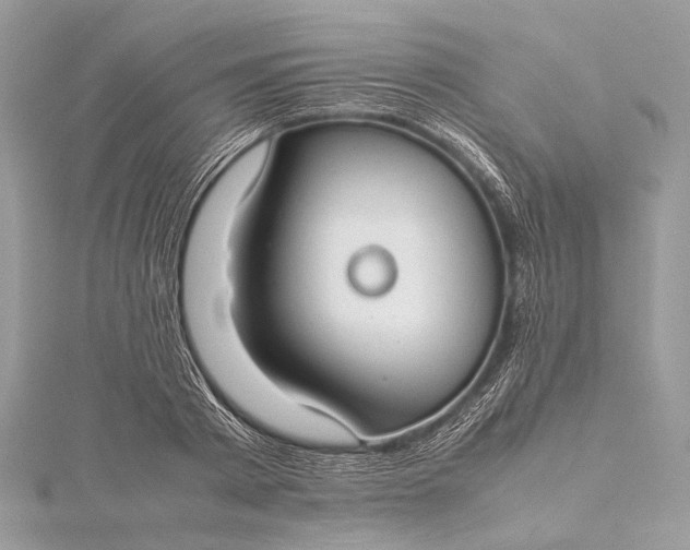 X0000115540793200911201738