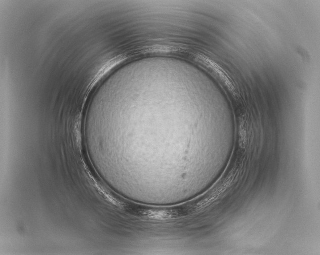 X0000115540794200911201738