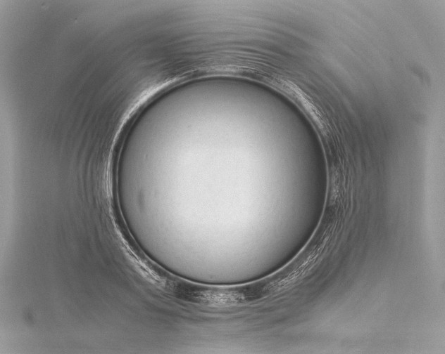 X0000115540795200911201738