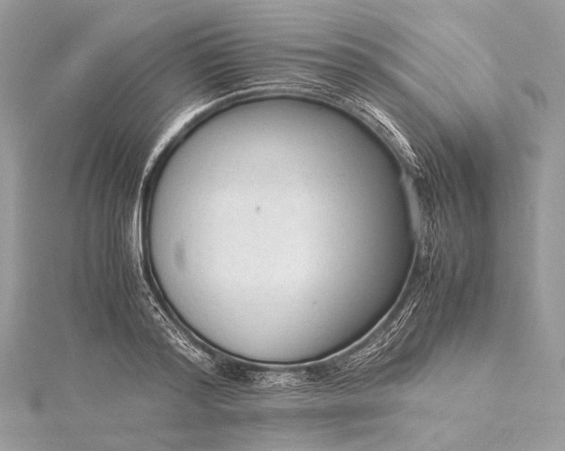 X0000115540796200911201738