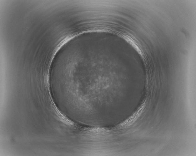 X0000115540797200911201738