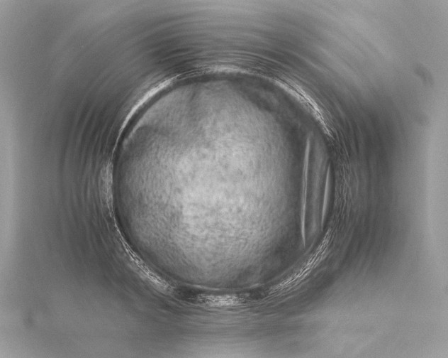 X0000115540798200911201738