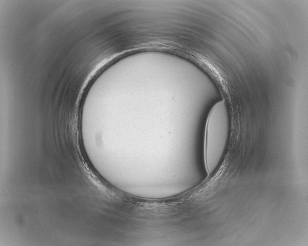 X0000115540800200911201738