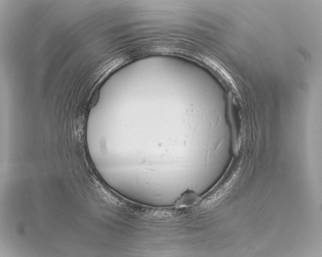 X0000115540801200911201738