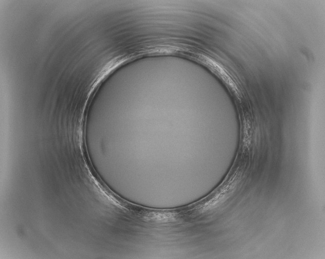 X0000115540802200911201738