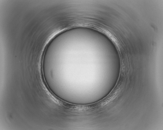 X0000115540803200911201738