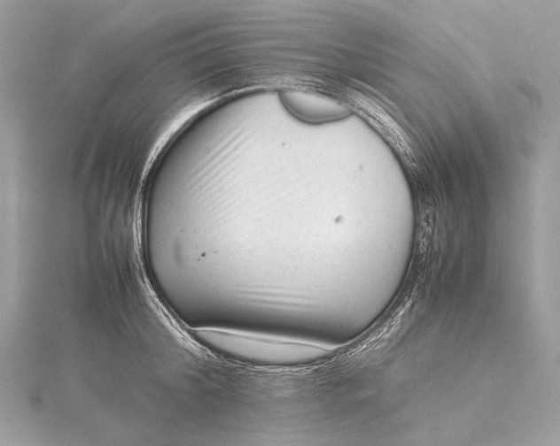 X0000115540804200911201738