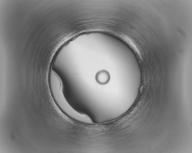 X0000115540805200911201738